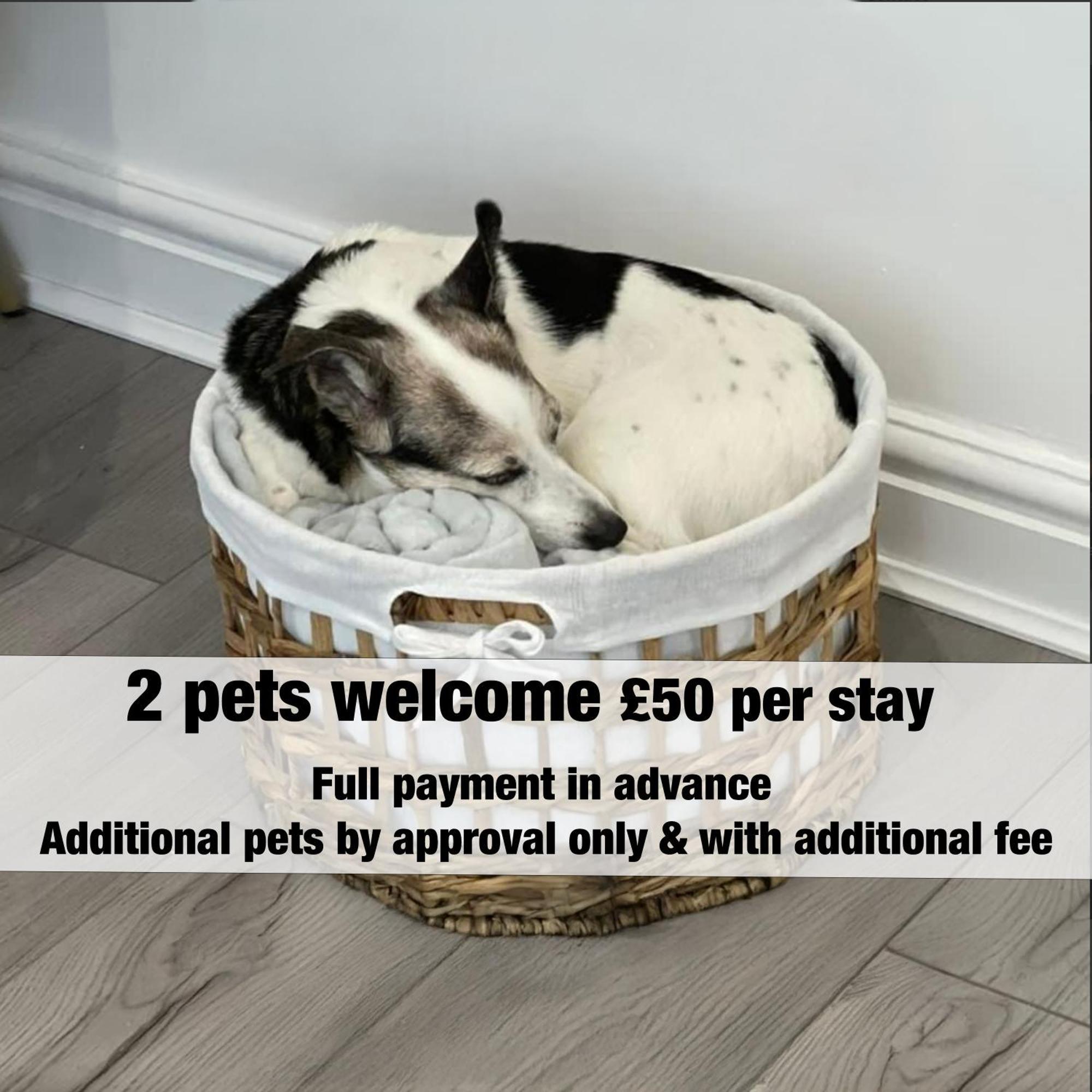 Norton Terrace Charming Home In The Beautiful Afan Forest By Staystaycations Port Talbot Eksteriør bilde